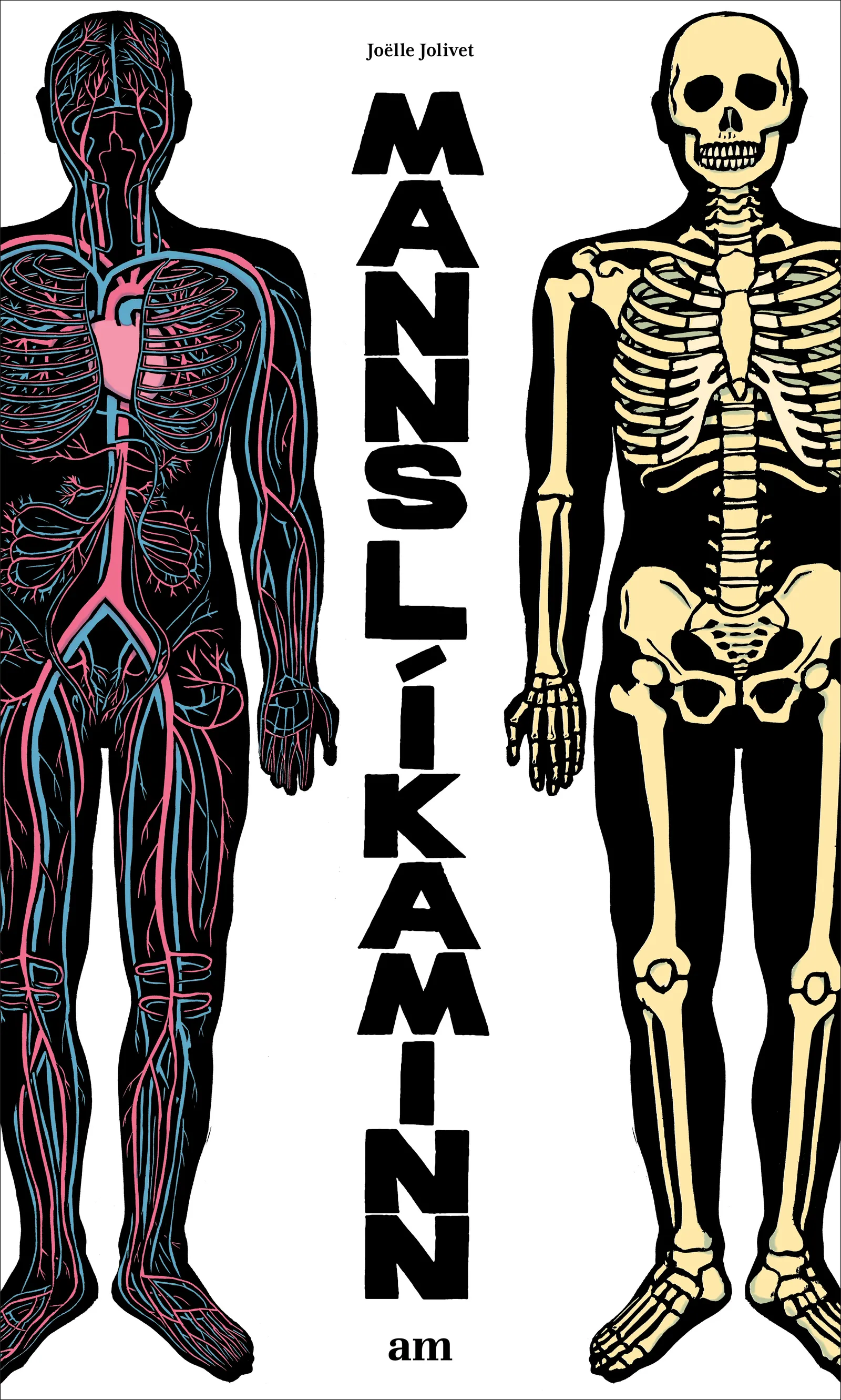 Forsíða kápu bókarinnar