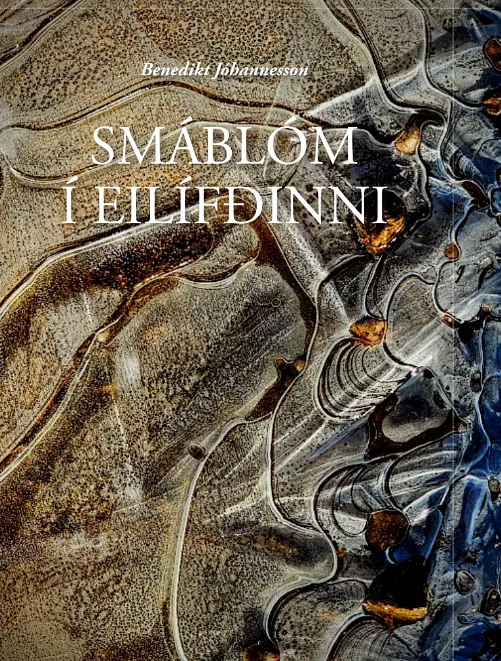 Forsíða kápu bókarinnar