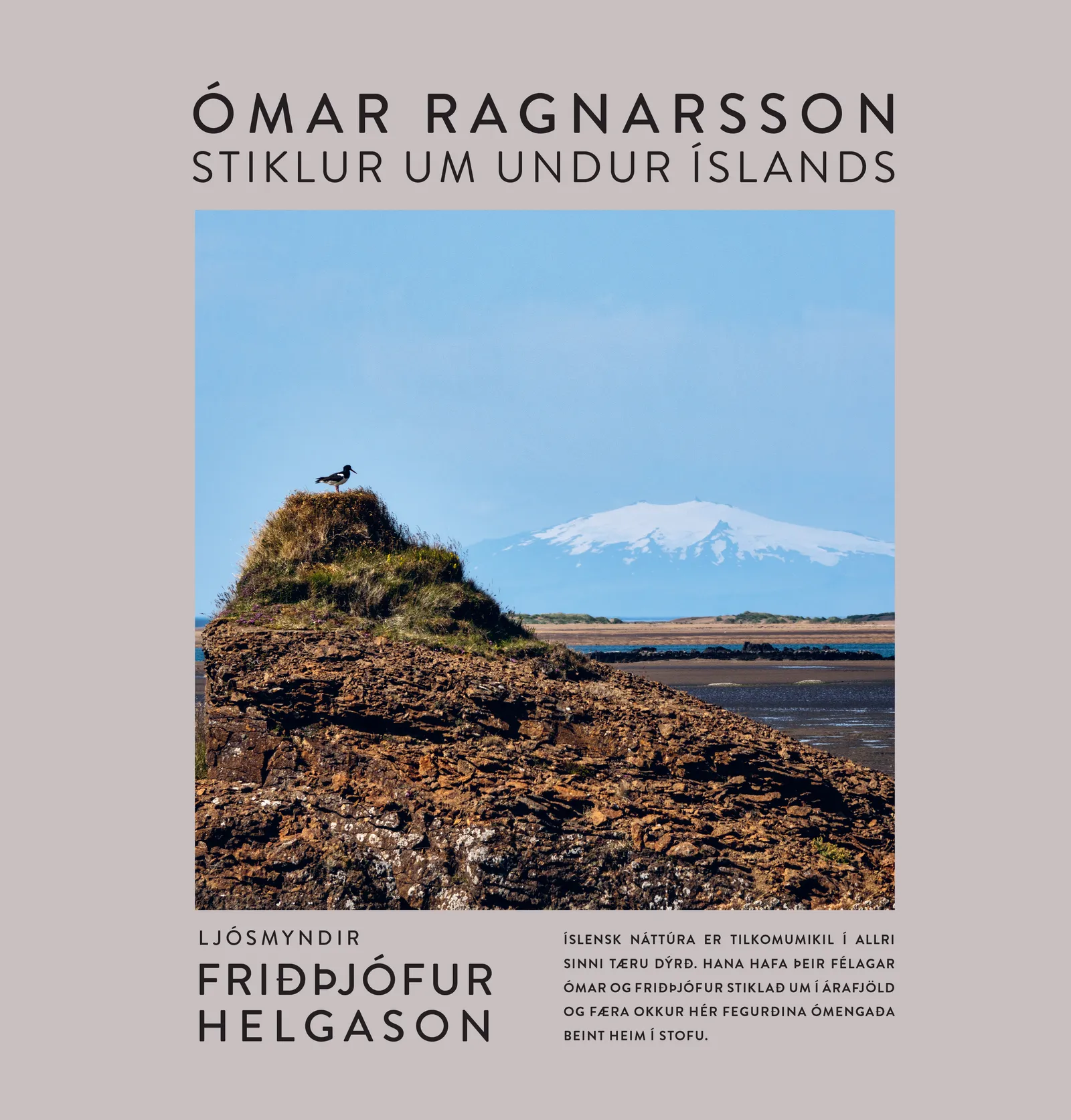 Forsíða kápu bókarinnar