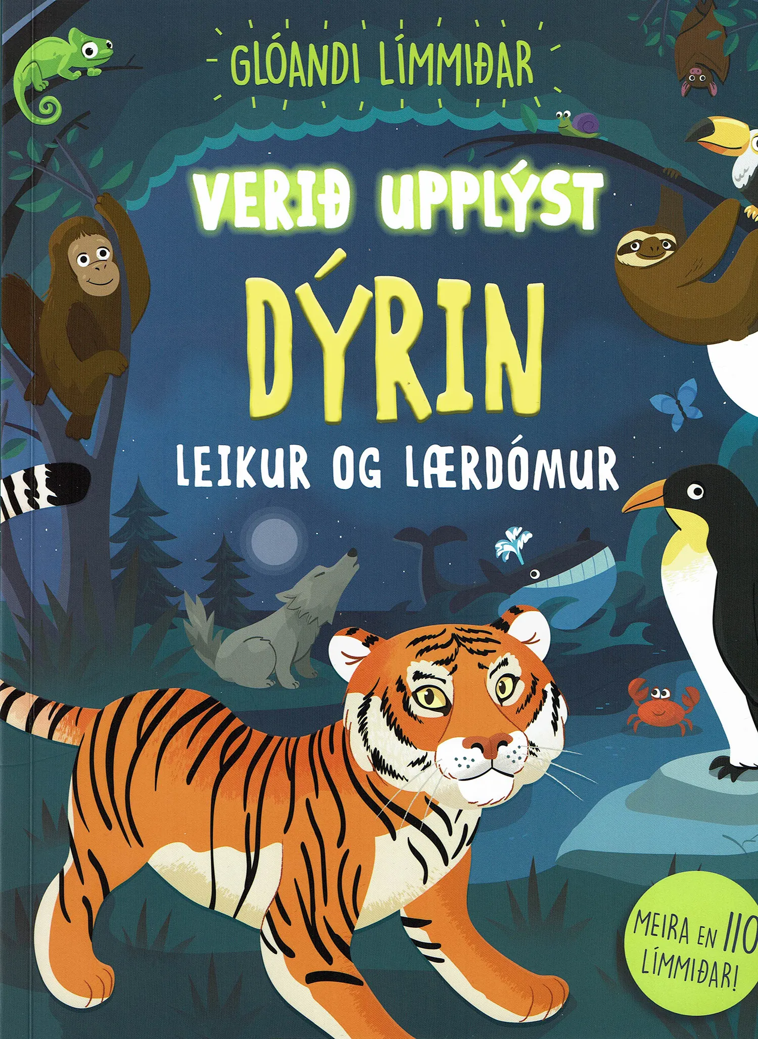 Forsíða kápu bókarinnar