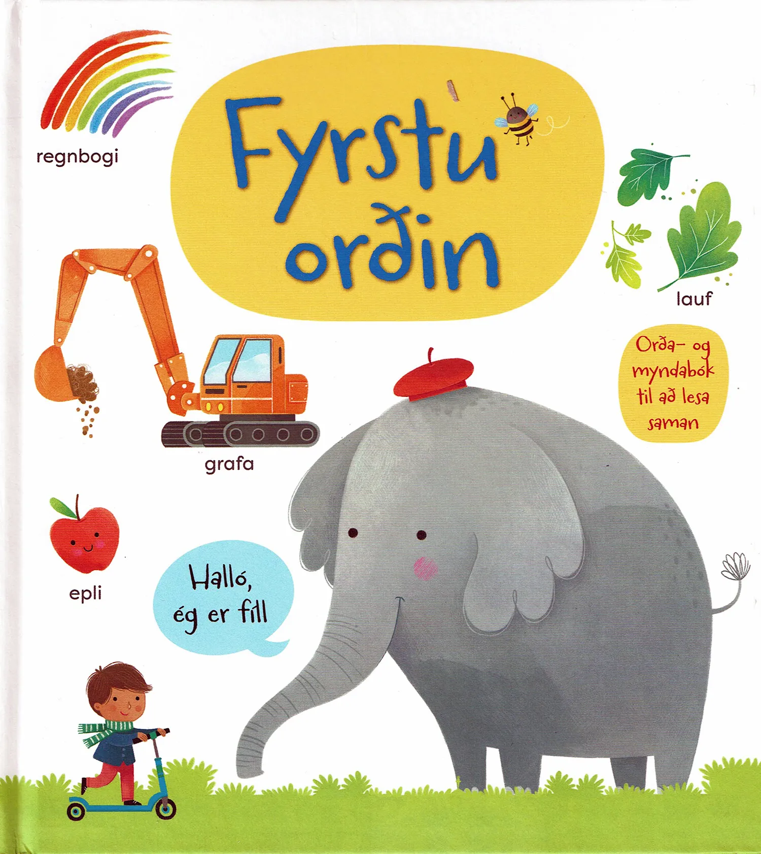 Forsíða kápu bókarinnar