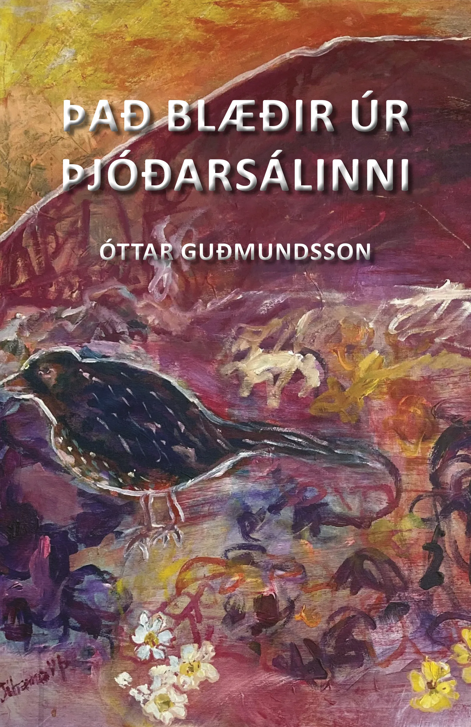 Forsíða kápu bókarinnar