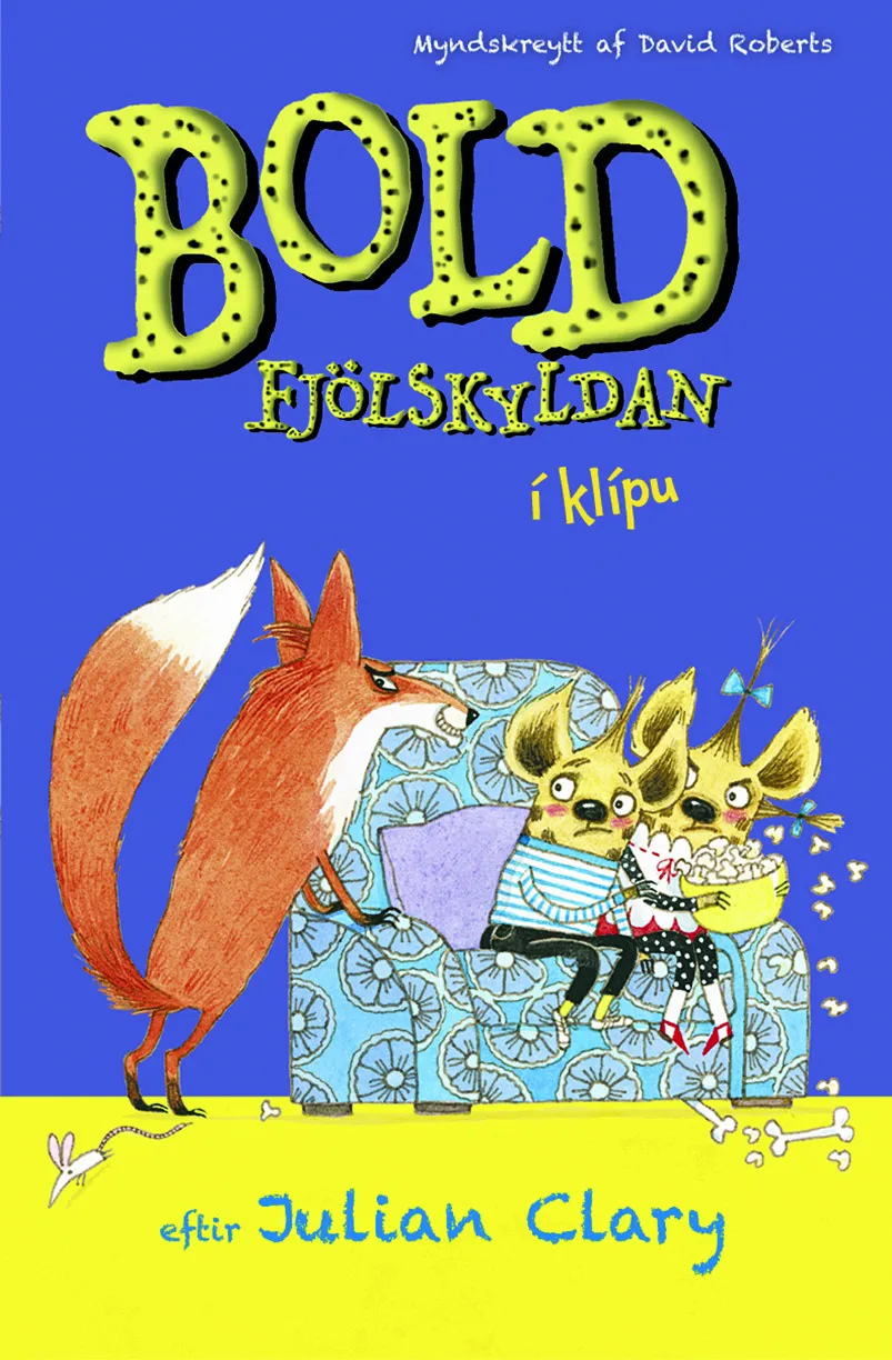 Forsíða kápu bókarinnar