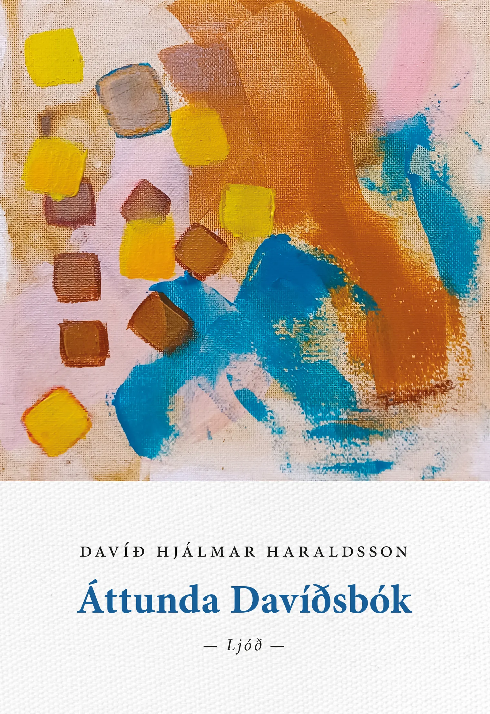 Forsíða kápu bókarinnar