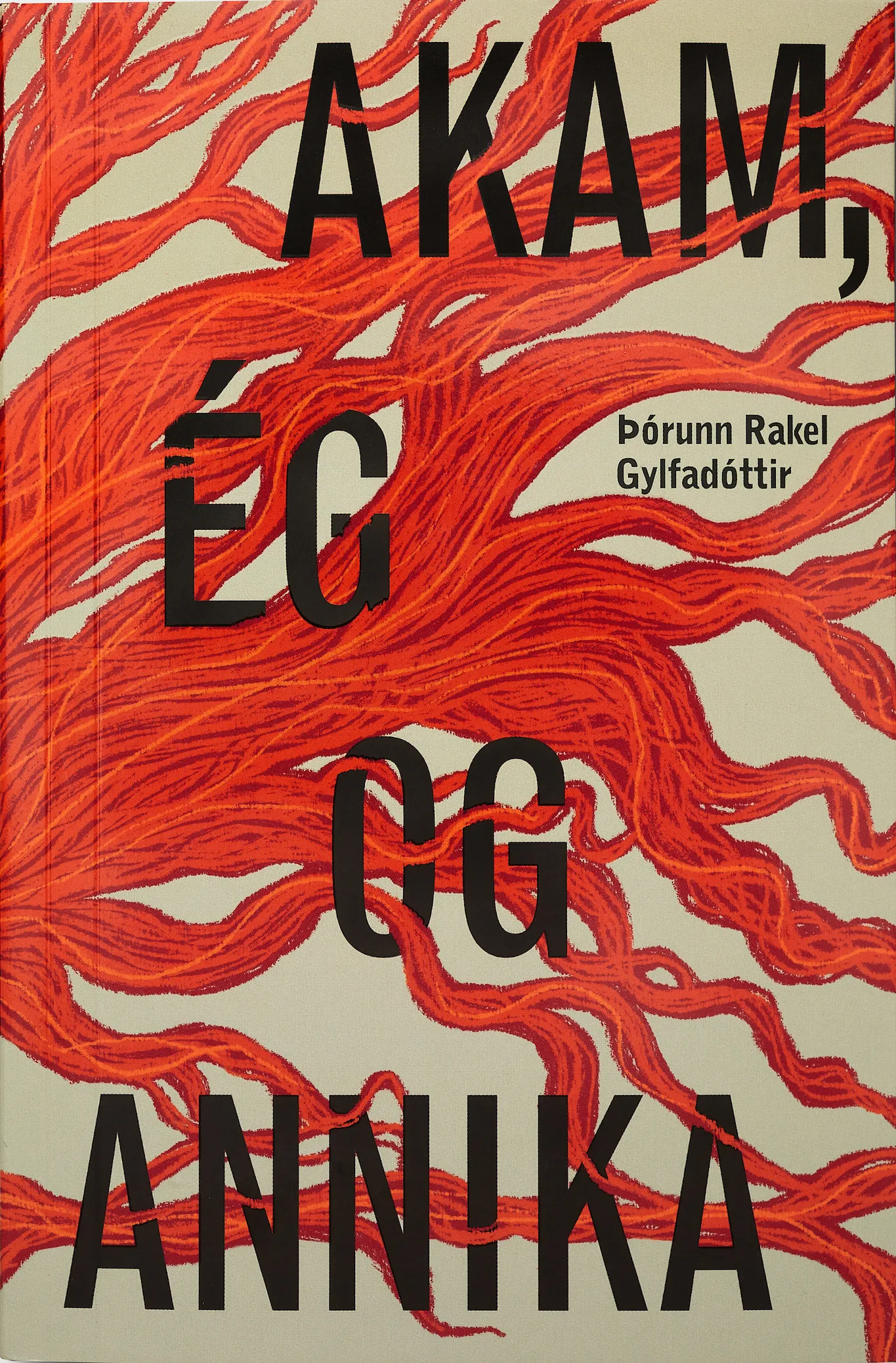 Forsíða kápu bókarinnar