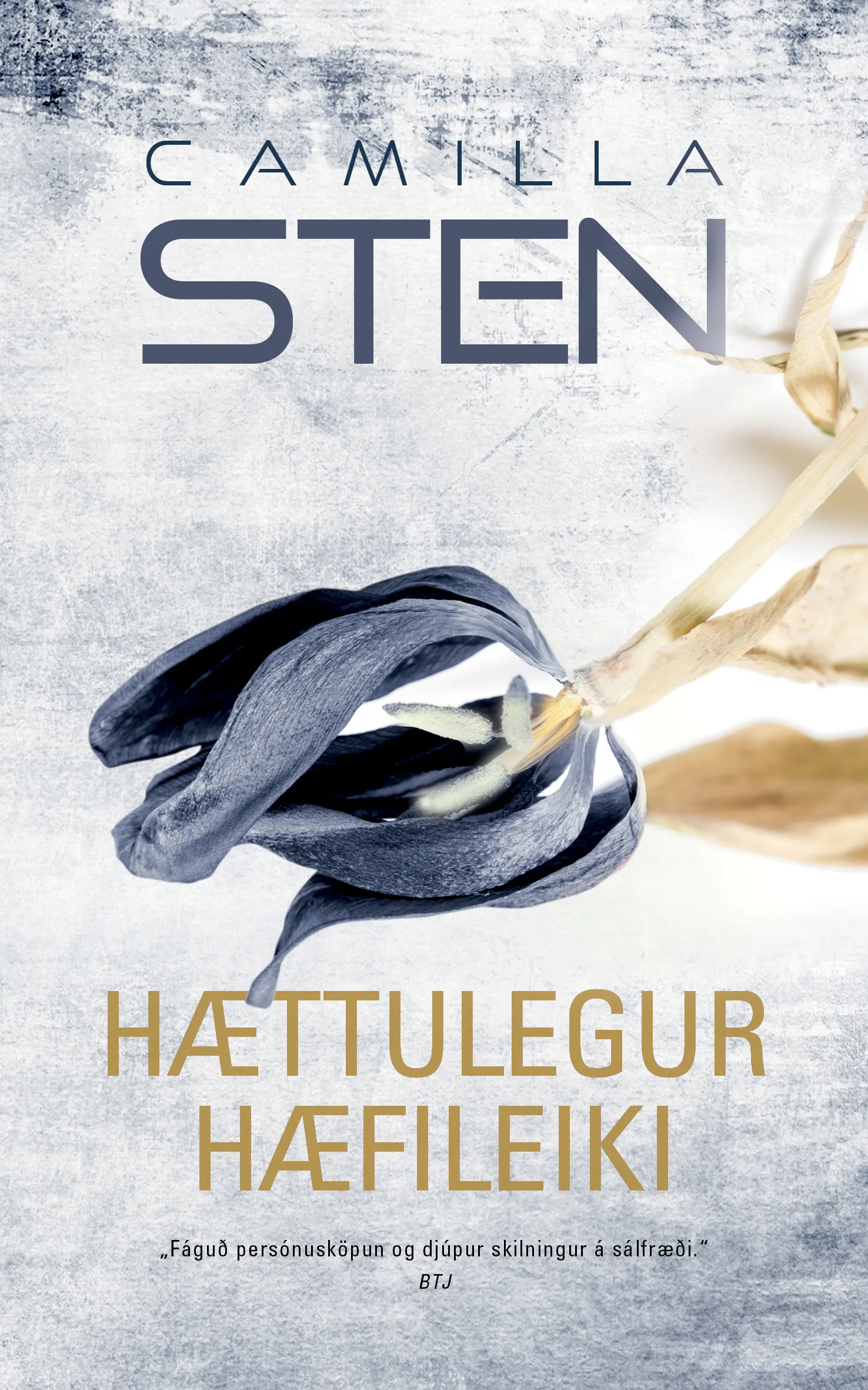 Forsíða kápu bókarinnar