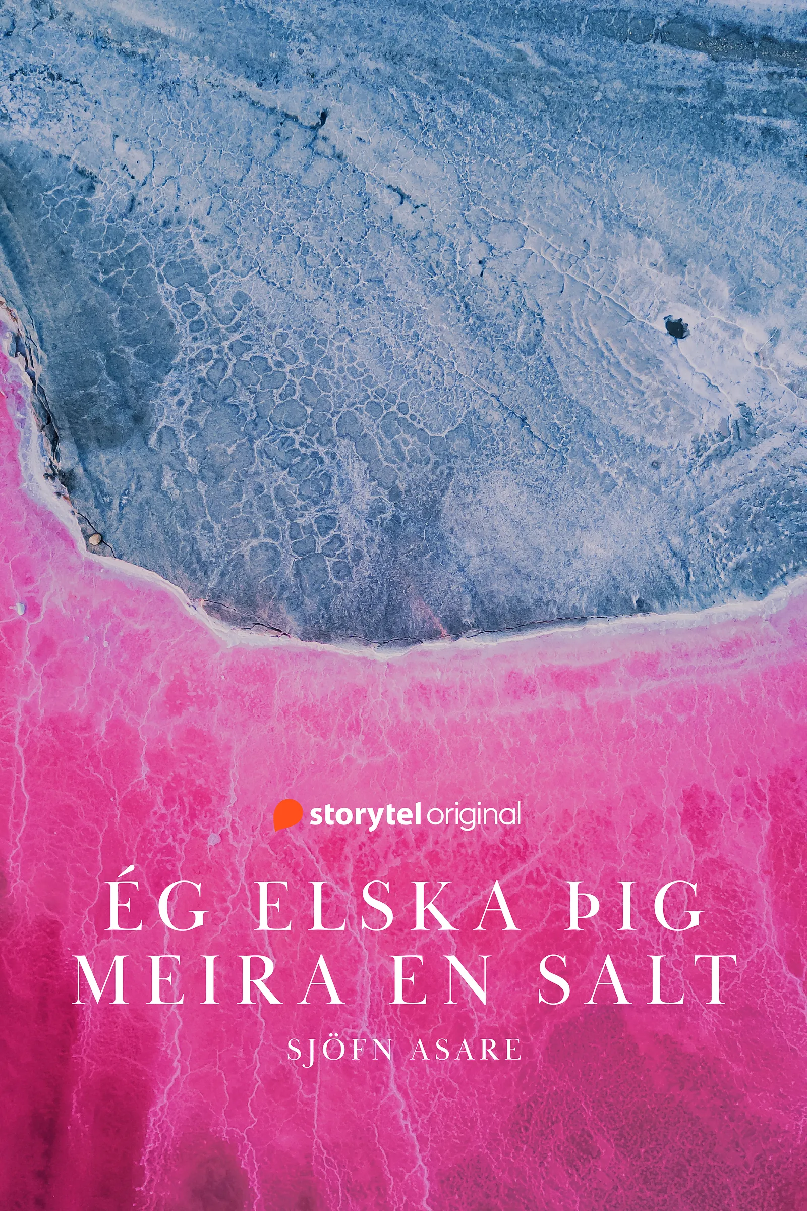 Forsíða kápu bókarinnar