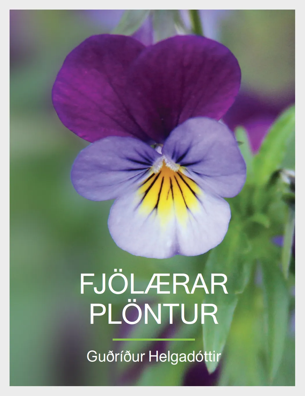 Forsíða kápu bókarinnar