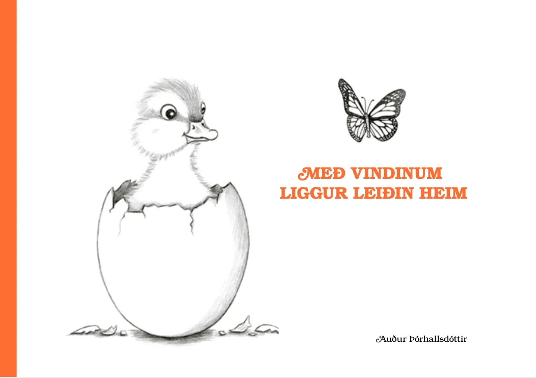 Forsíða kápu bókarinnar