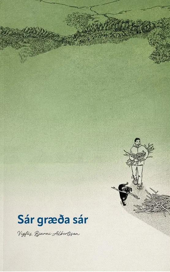 Bókakápa: Sár græða sár