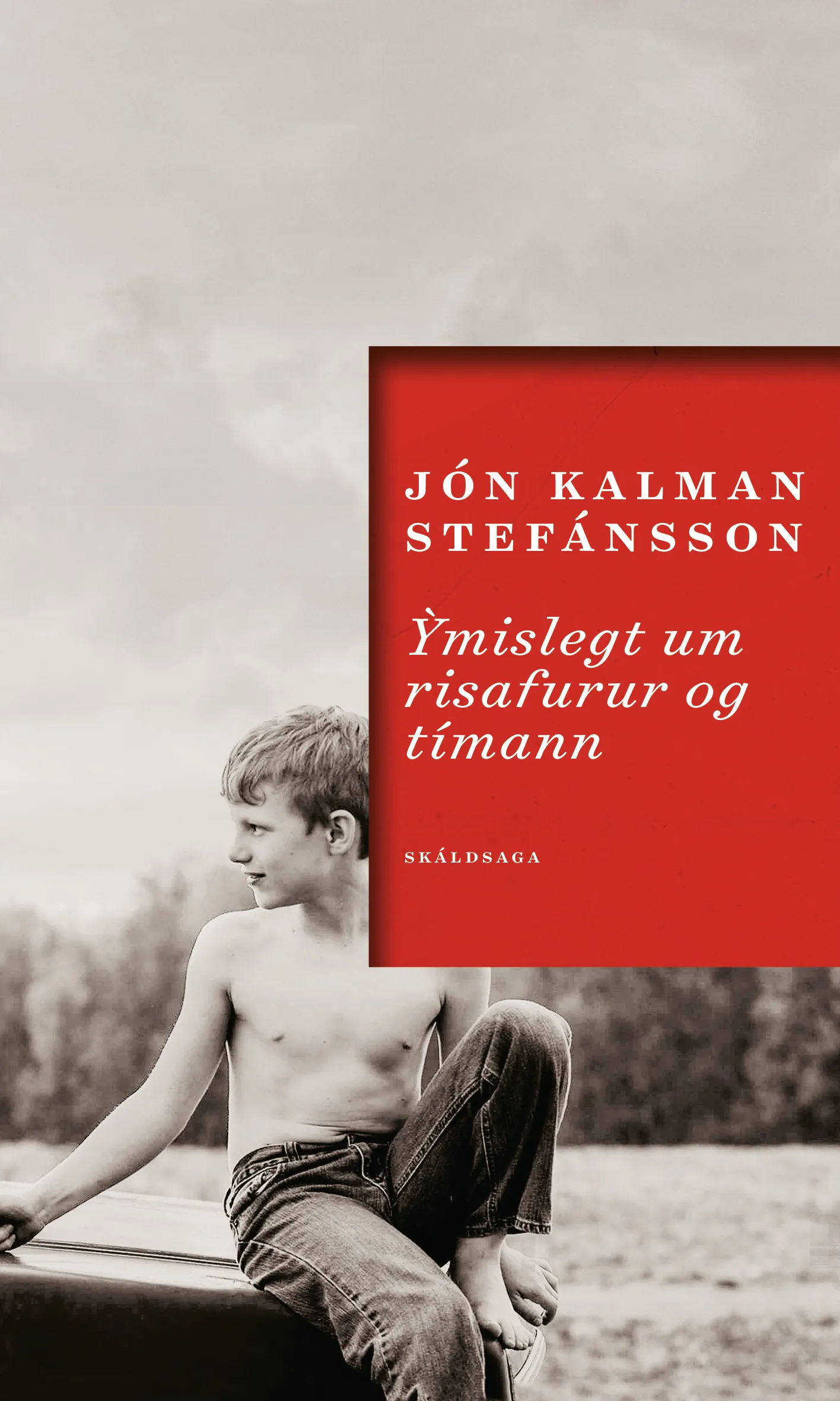 Forsíða kápu bókarinnar