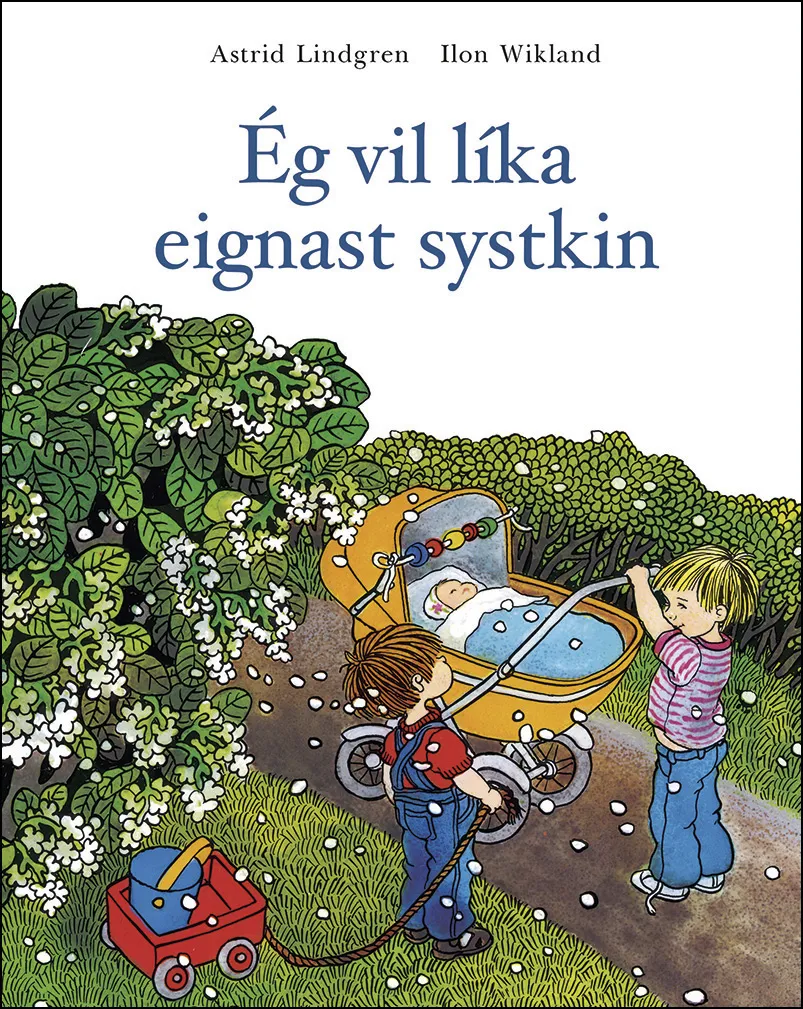 Forsíða kápu bókarinnar