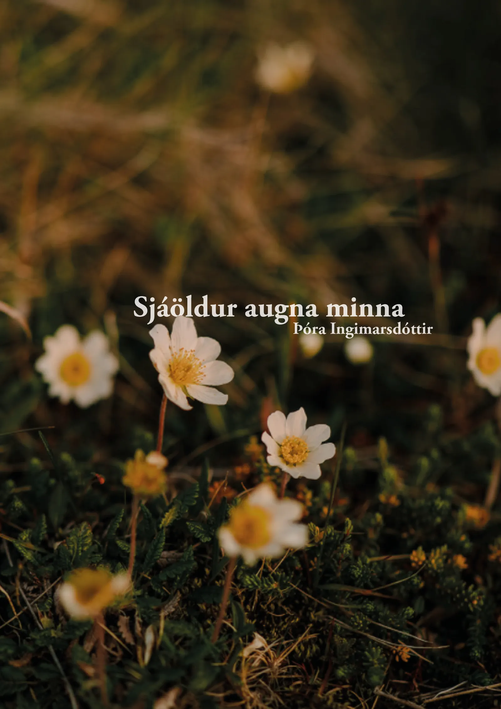 Forsíða kápu bókarinnar