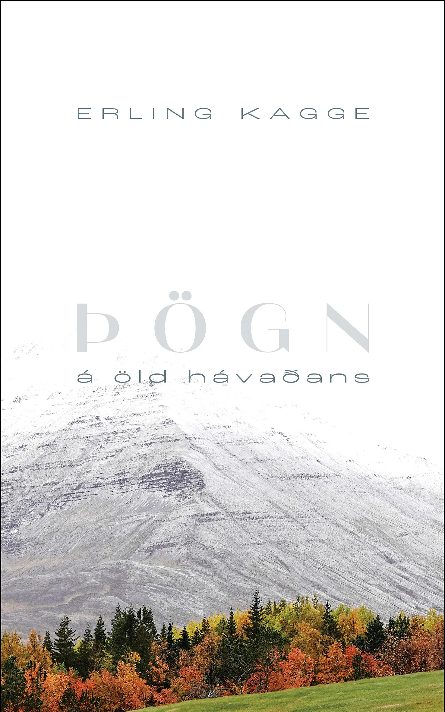 Forsíða kápu bókarinnar