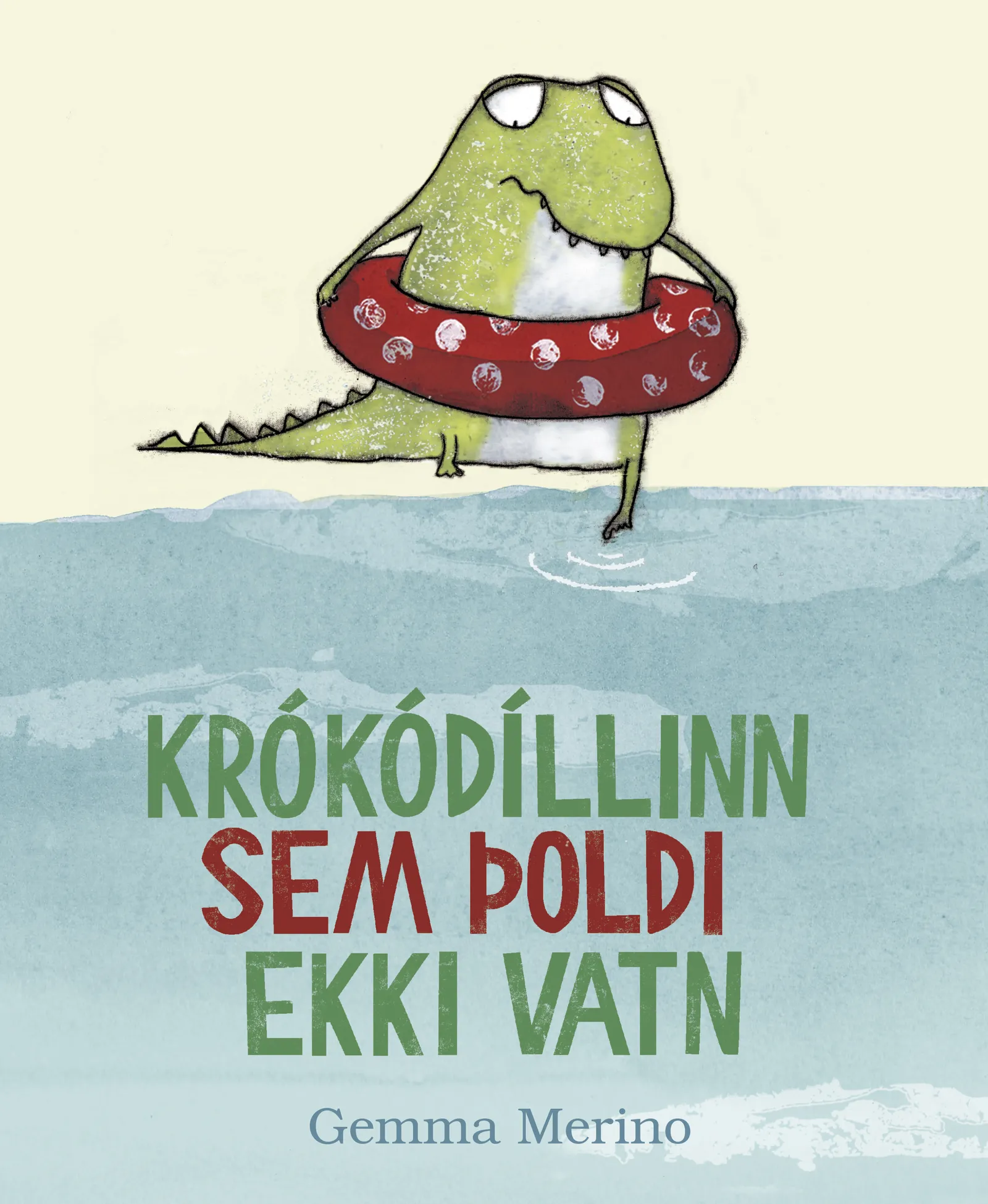 Forsíða kápu bókarinnar