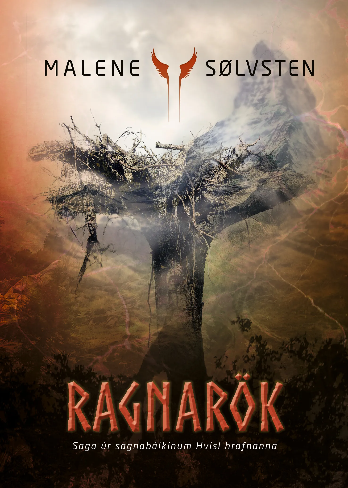 Forsíða kápu bókarinnar