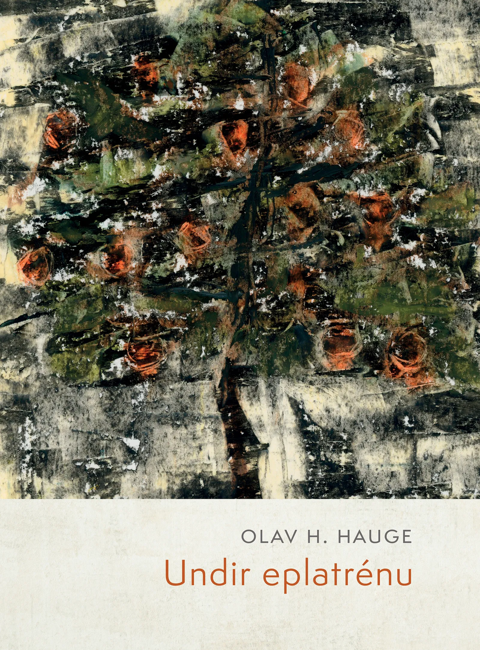 Forsíða kápu bókarinnar