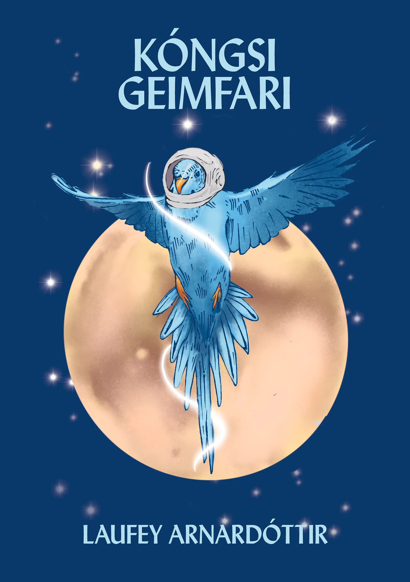 Forsíða kápu bókarinnar