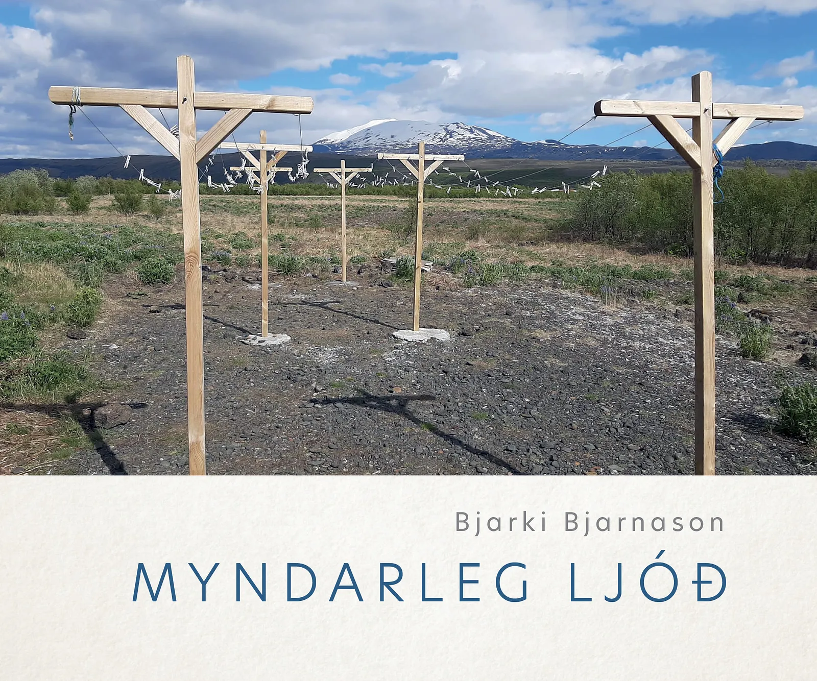 Bókakápa: Myndarleg ljóð