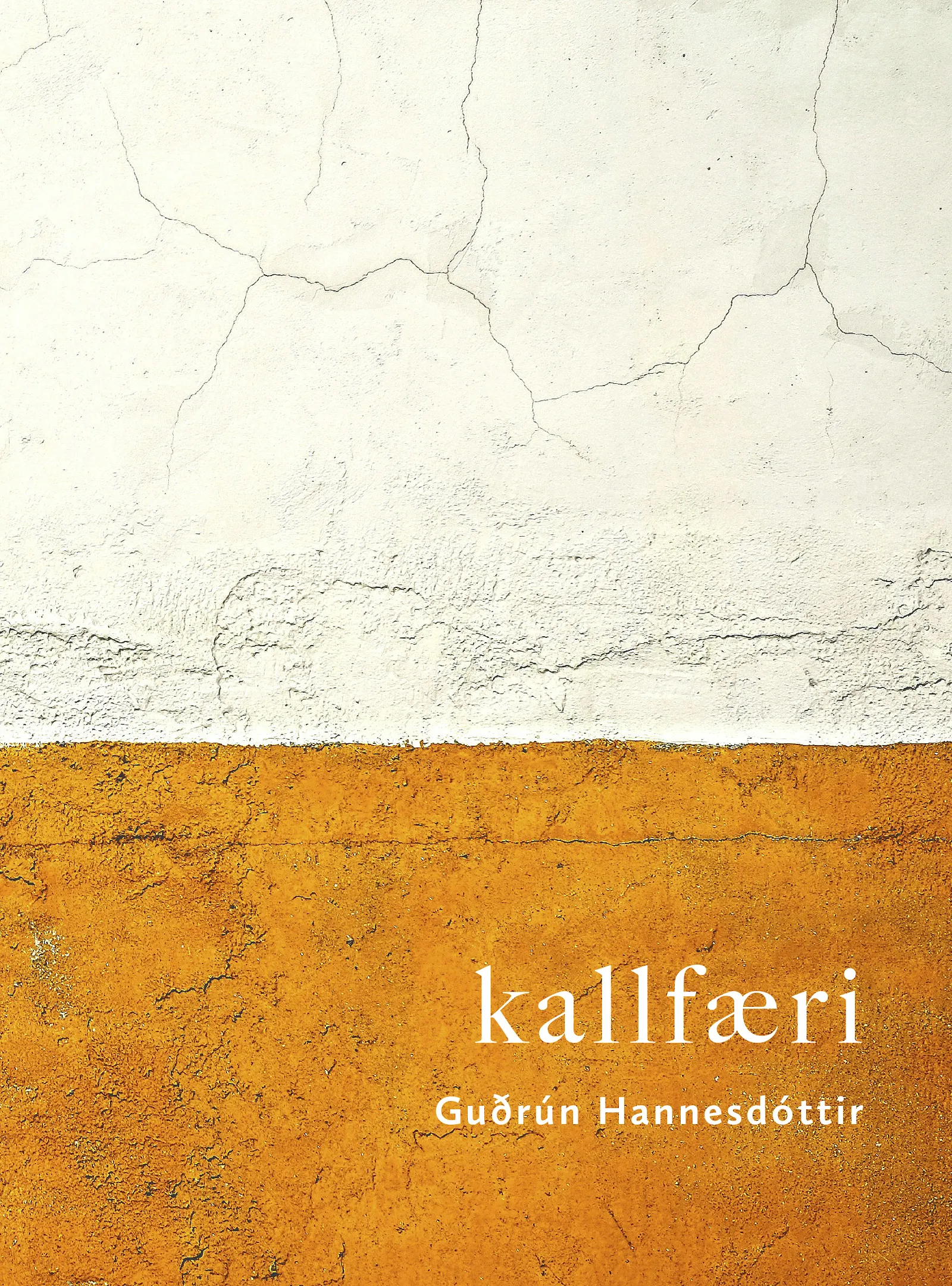 Forsíða kápu bókarinnar