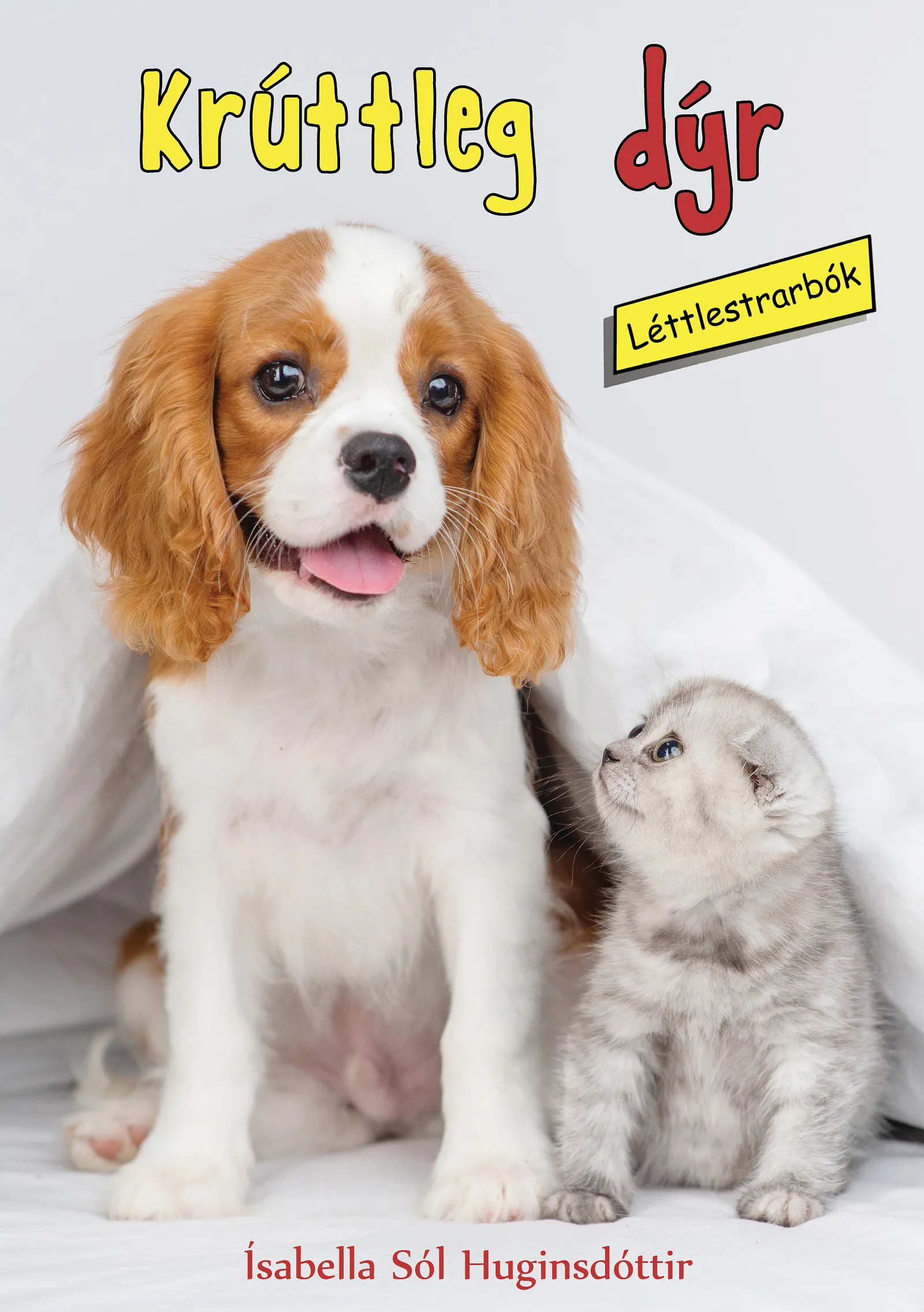 Forsíða kápu bókarinnar