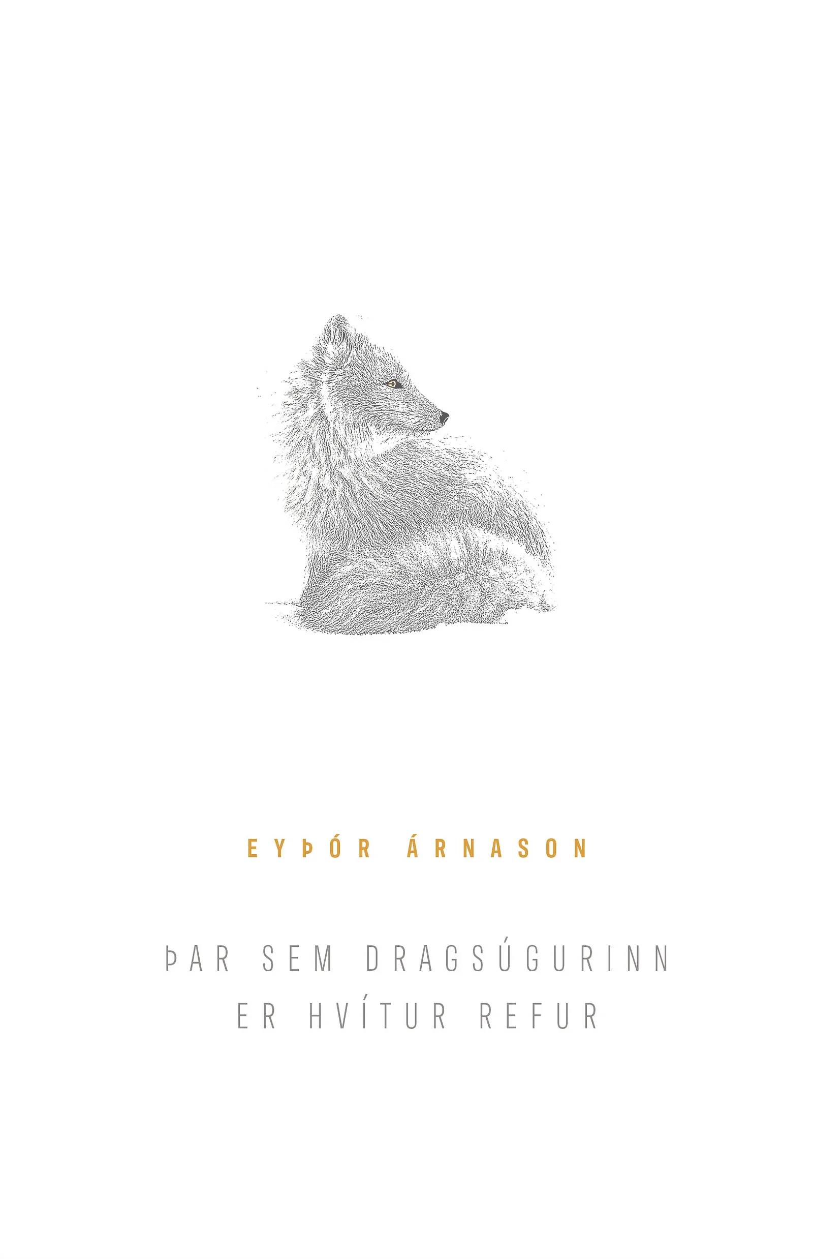 Forsíða kápu bókarinnar