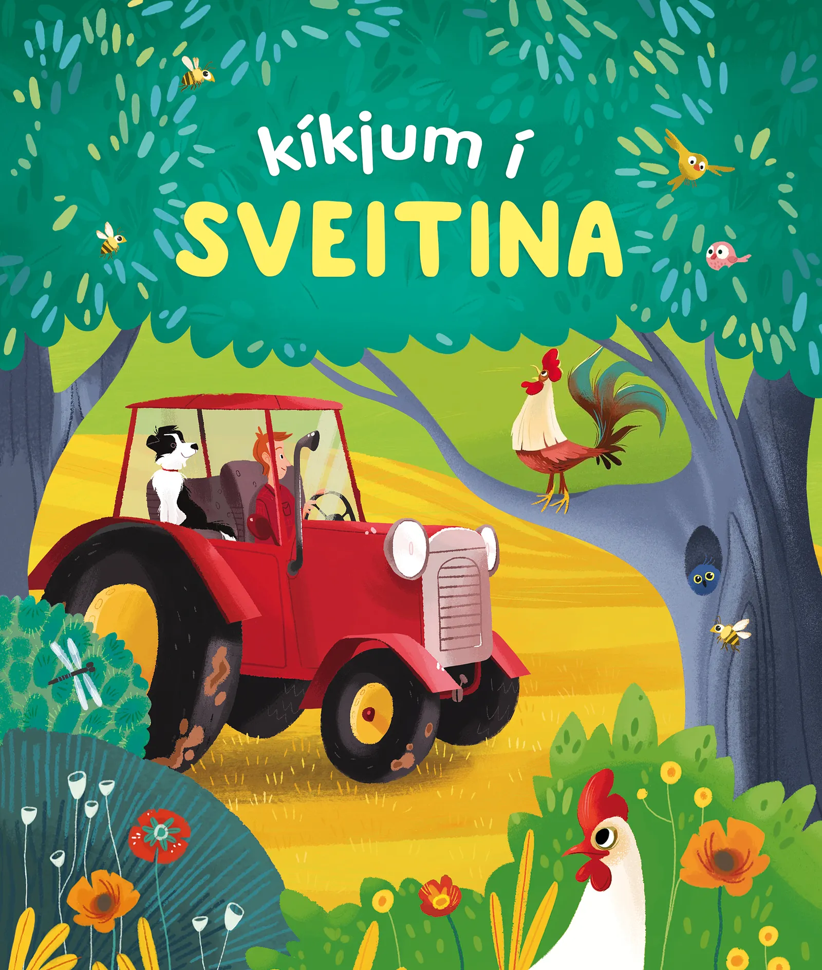 Forsíða kápu bókarinnar