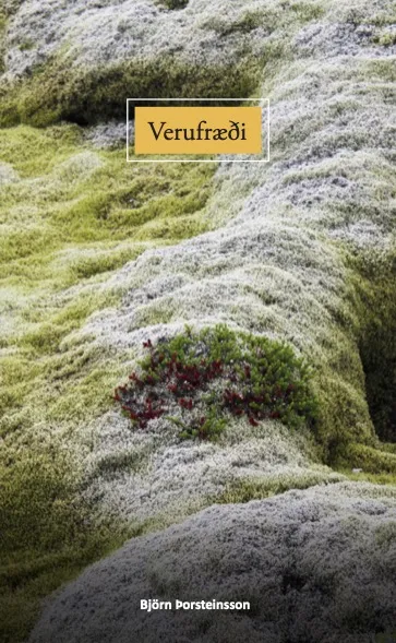 Forsíða kápu bókarinnar