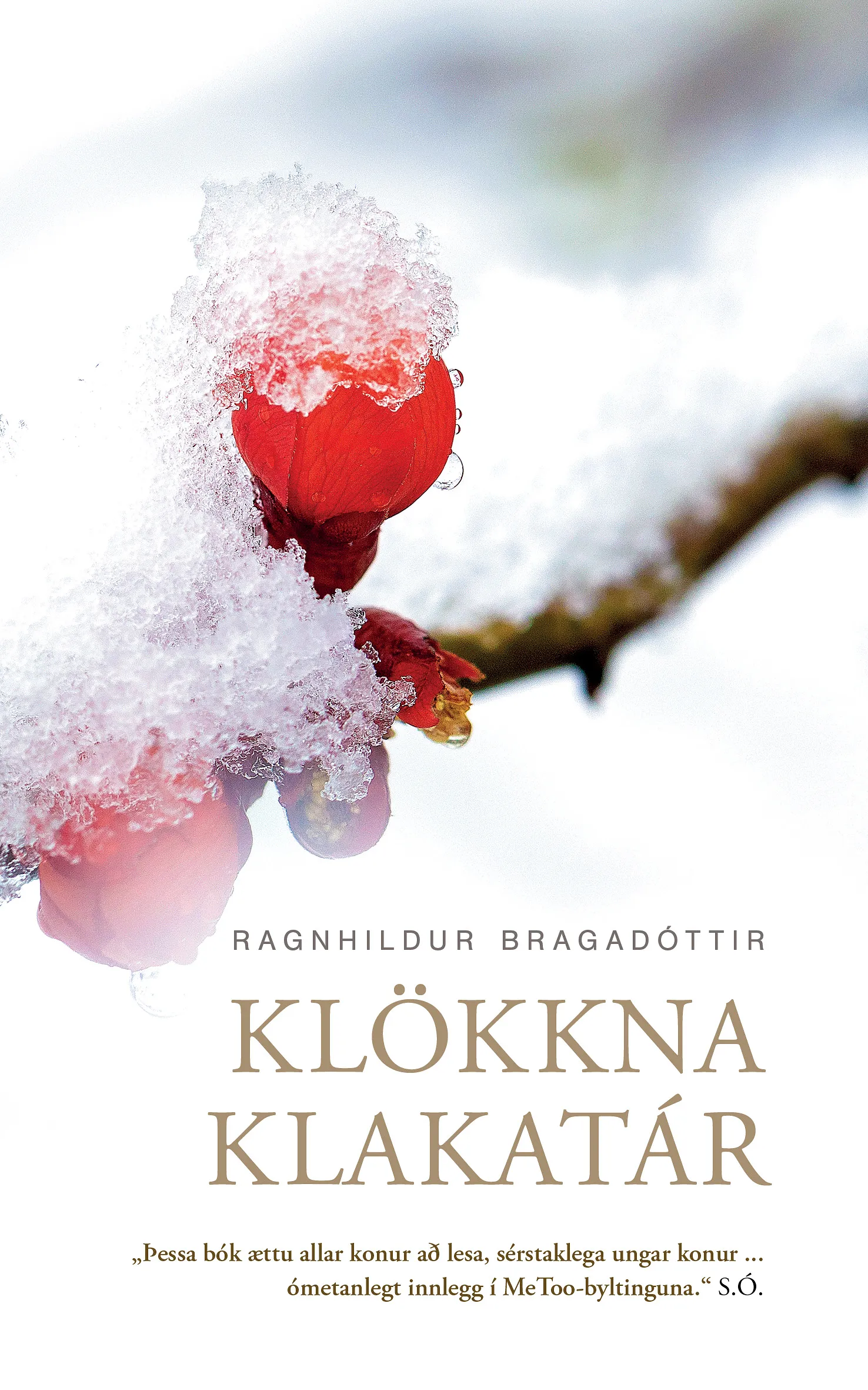Forsíða kápu bókarinnar