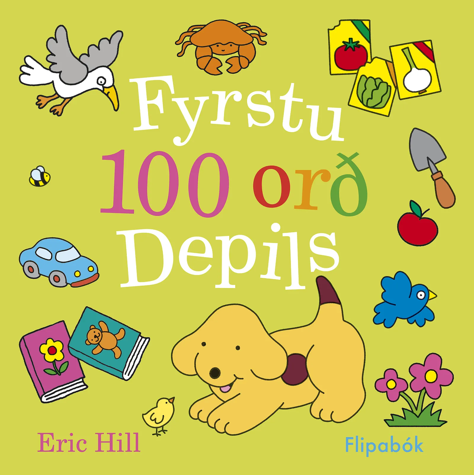 Forsíða kápu bókarinnar