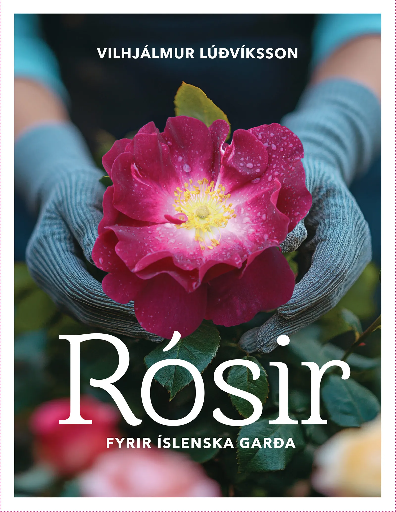 Bókakápa: Rósir fyrir íslenska garða