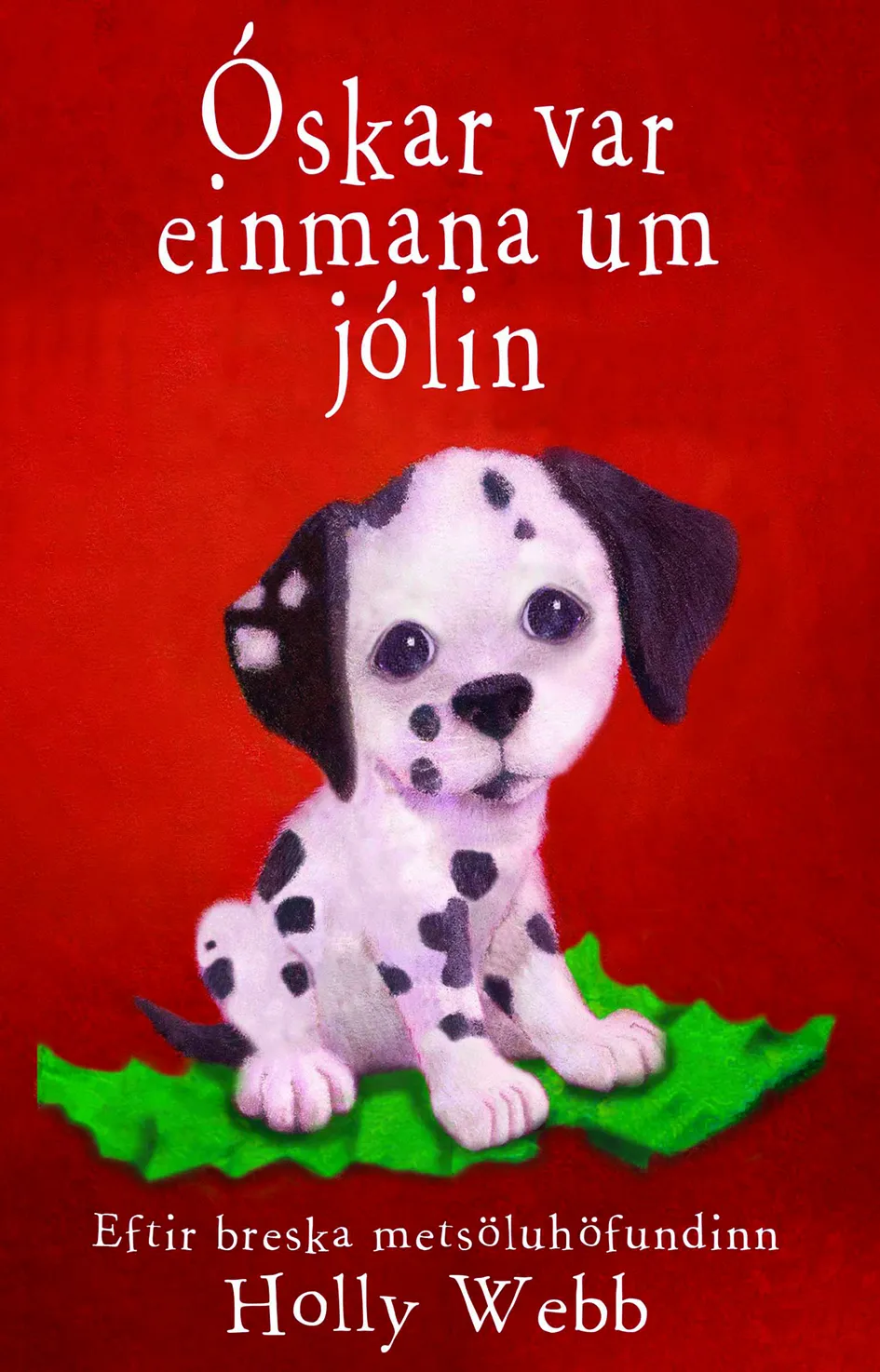 Forsíða kápu bókarinnar