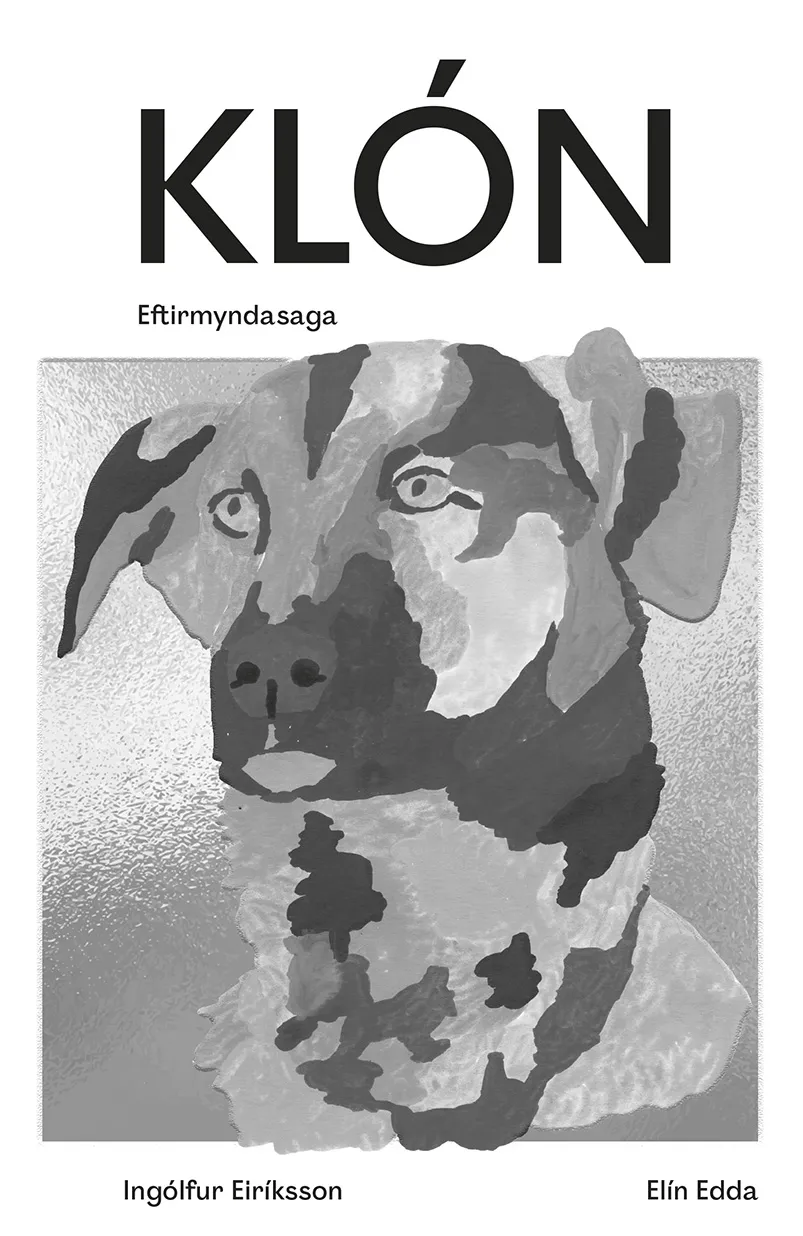 Forsíða kápu bókarinnar