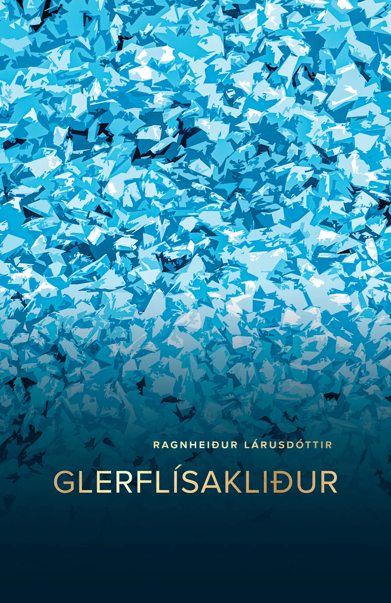 Forsíða kápu bókarinnar