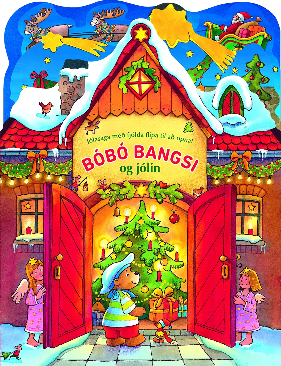 Forsíða kápu bókarinnar