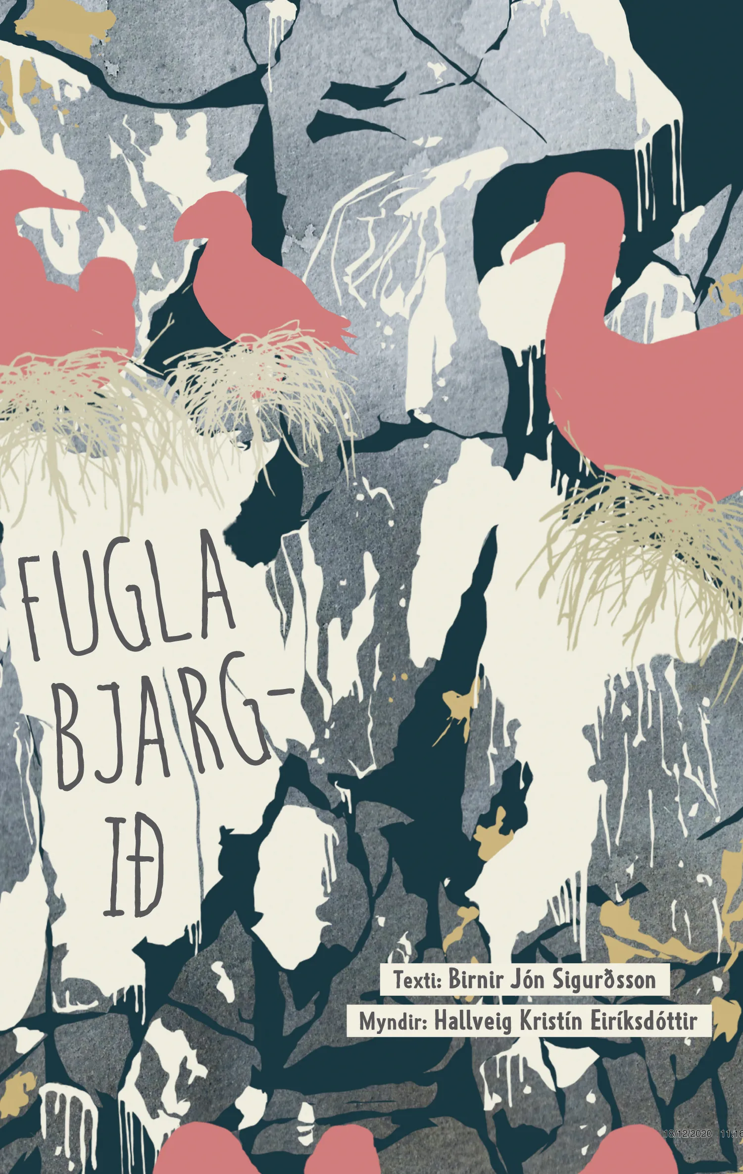 Forsíða kápu bókarinnar