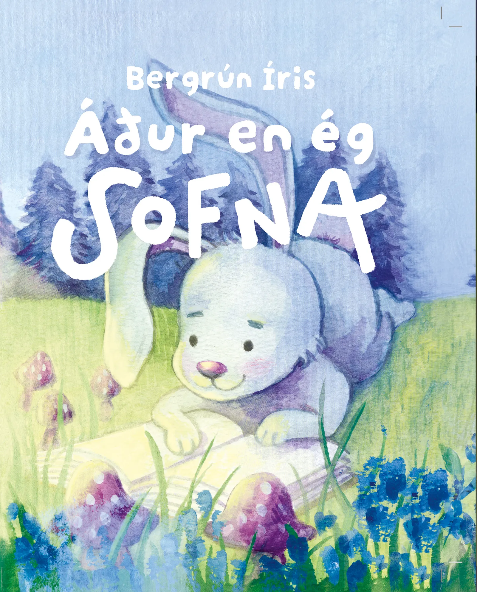 Bókakápa: Áður en ég sofna