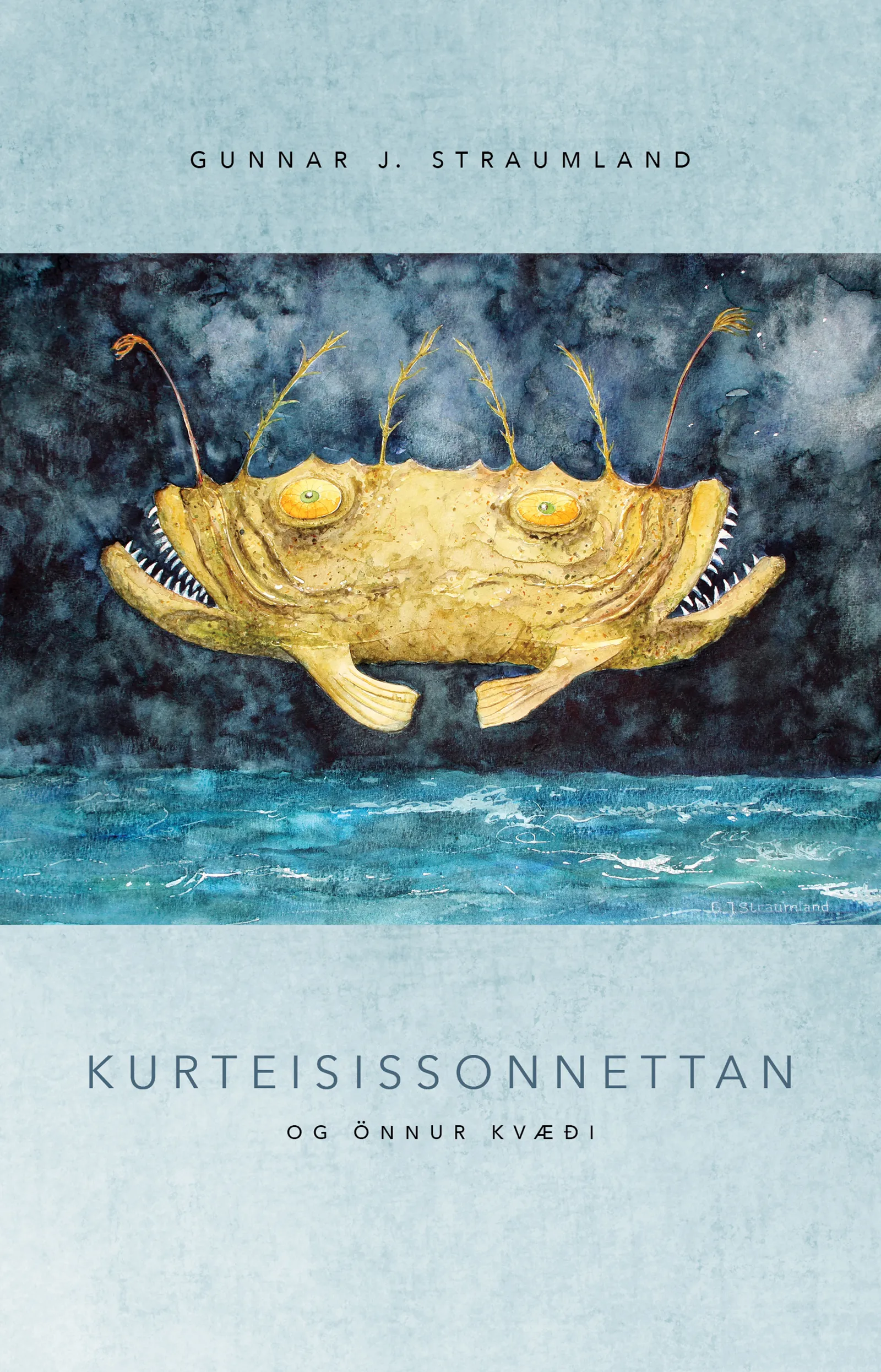 Forsíða kápu bókarinnar