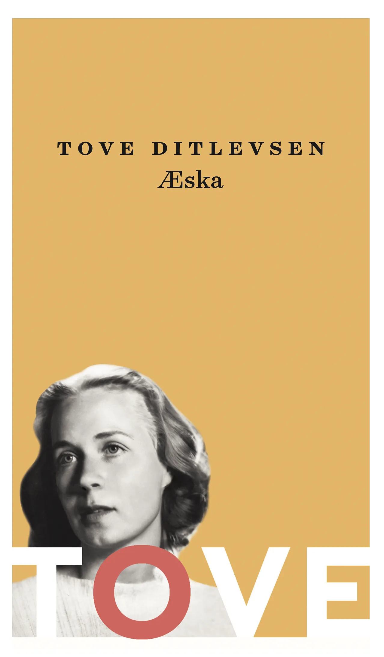 Forsíða kápu bókarinnar