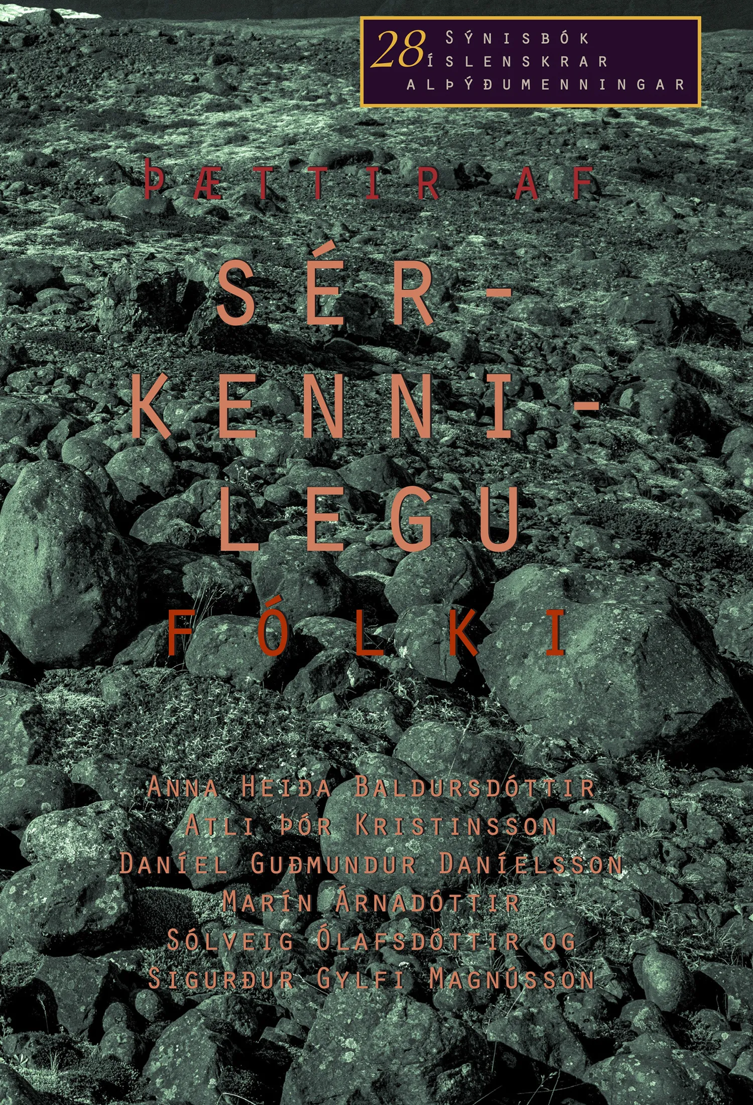 Forsíða kápu bókarinnar