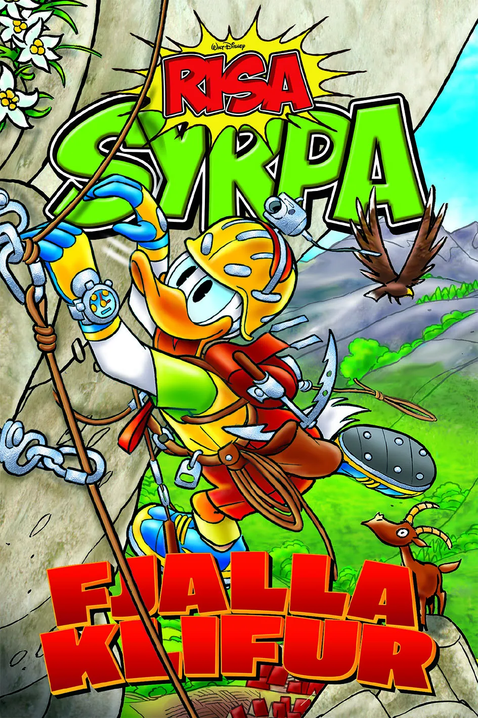 Forsíða kápu bókarinnar