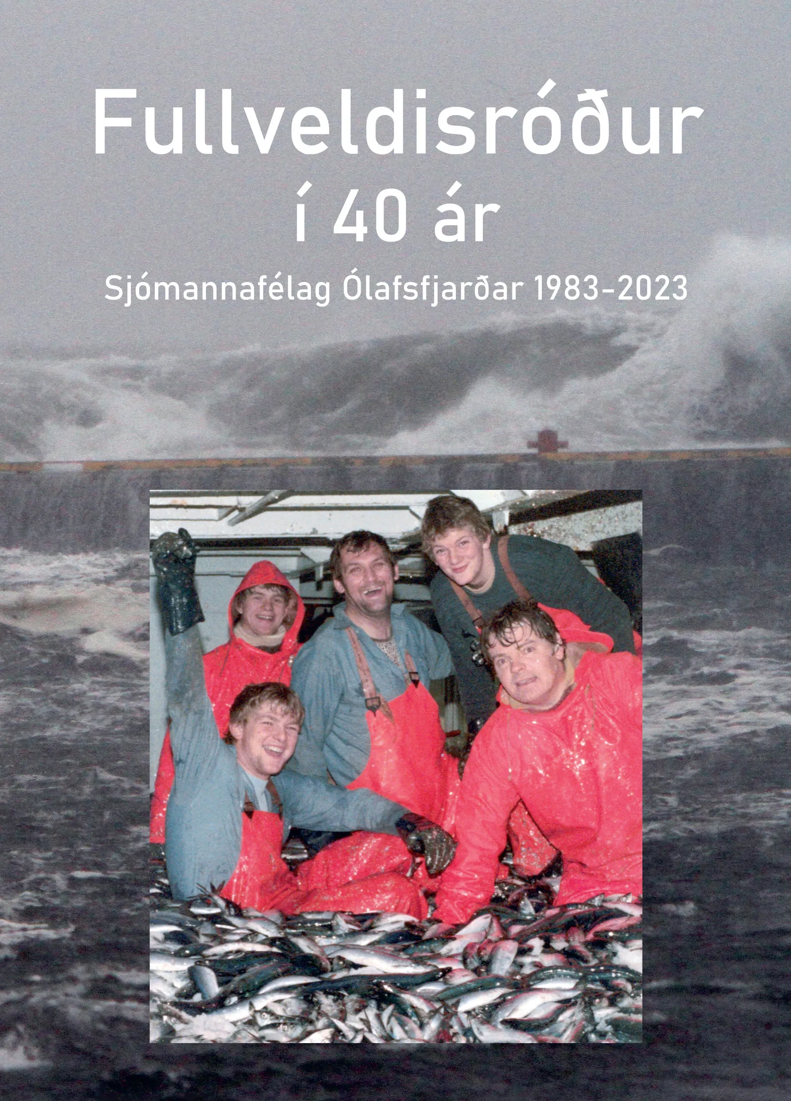 Forsíða kápu bókarinnar