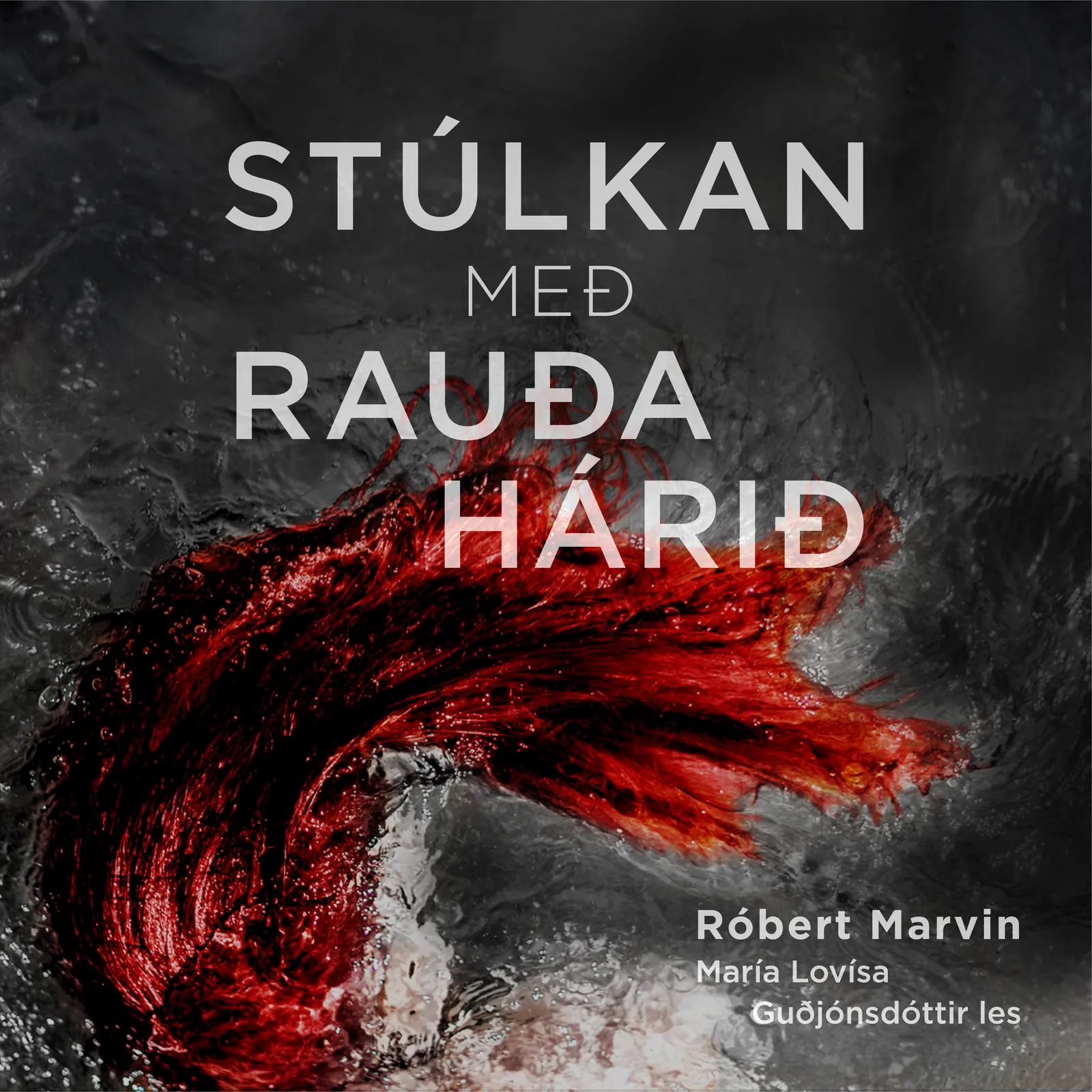 Forsíða kápu bókarinnar