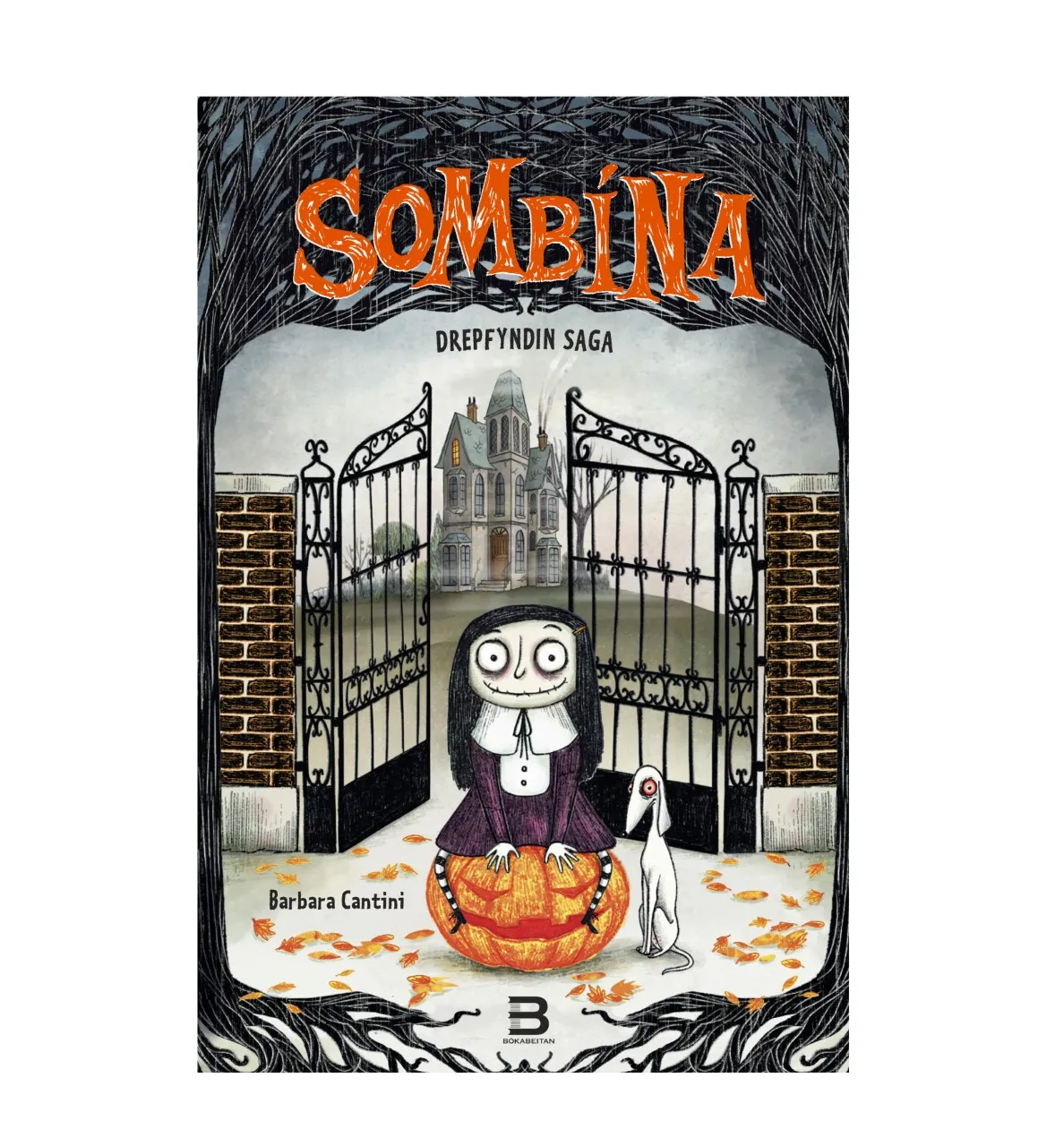 Forsíða kápu bókarinnar