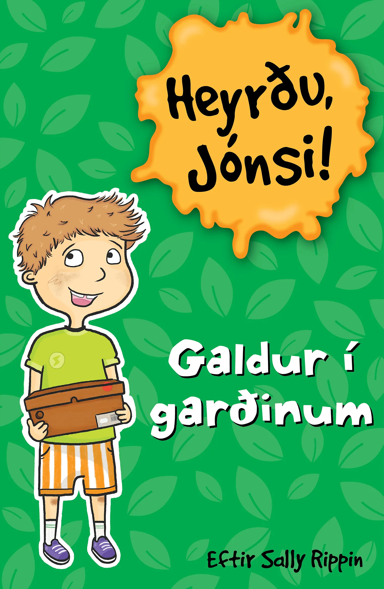 Forsíða kápu bókarinnar