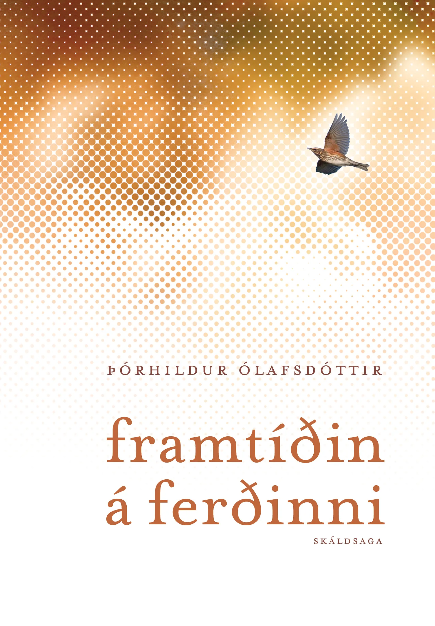 Forsíða kápu bókarinnar