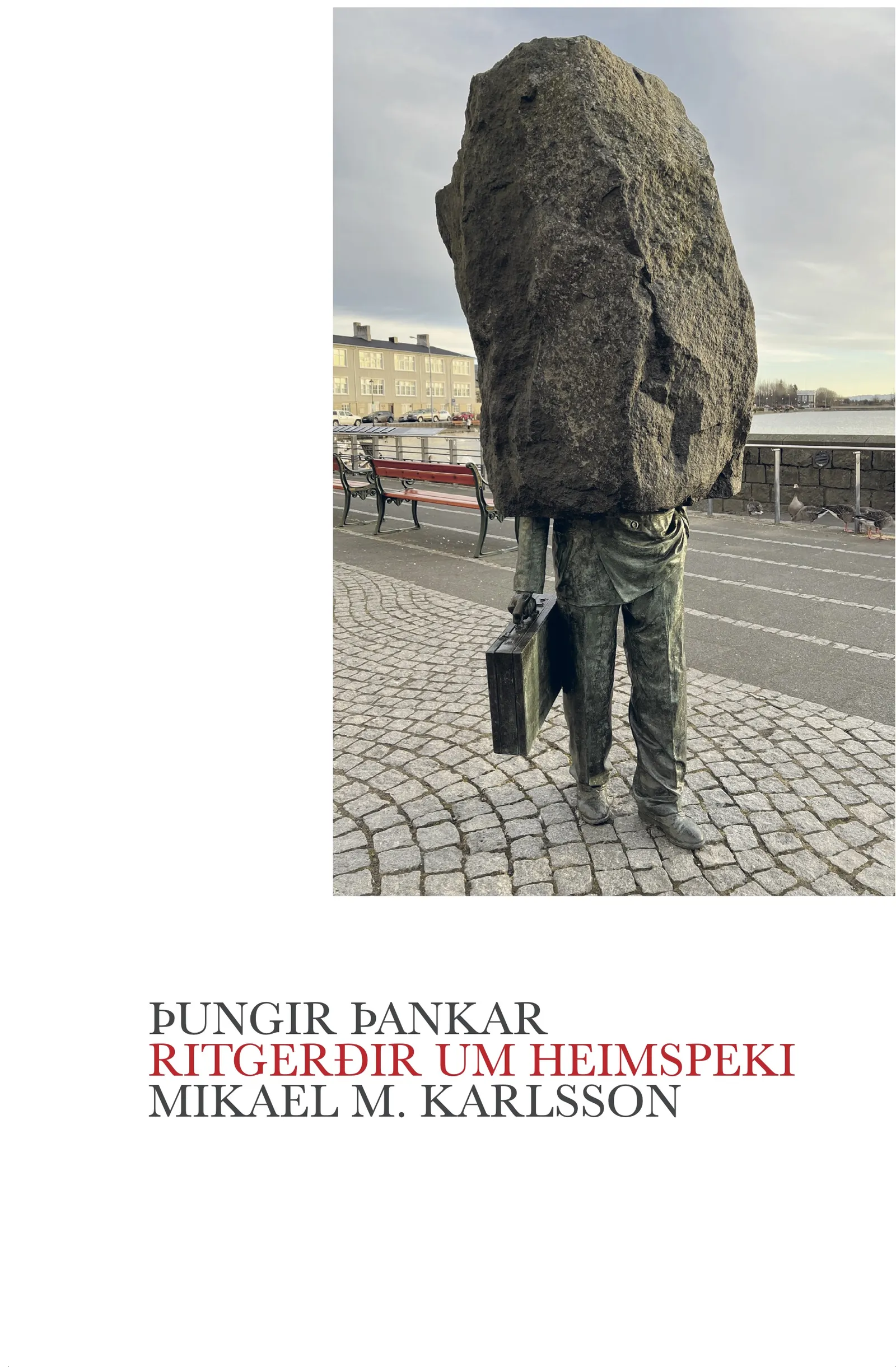 Forsíða kápu bókarinnar