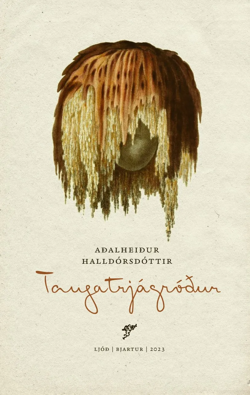 Forsíða kápu bókarinnar