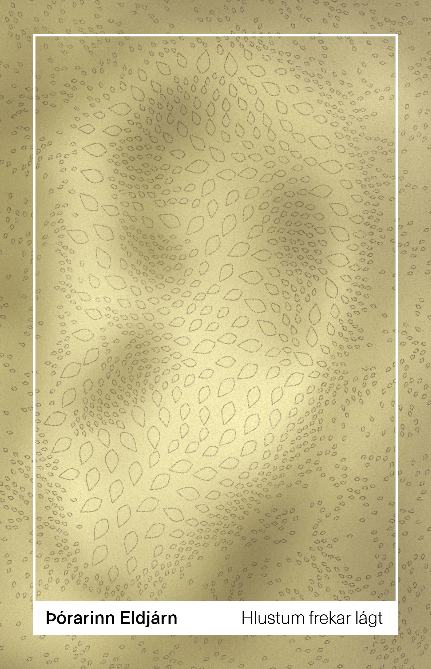 Forsíða kápu bókarinnar