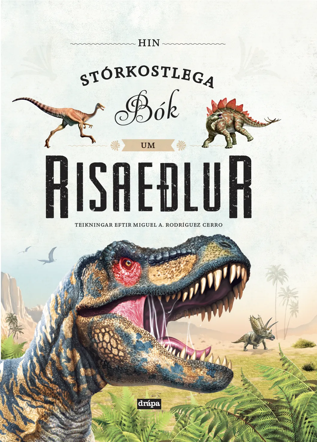 Forsíða kápu bókarinnar